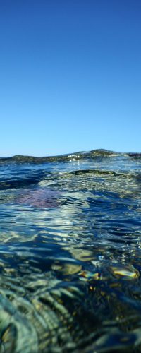 Soma Bay